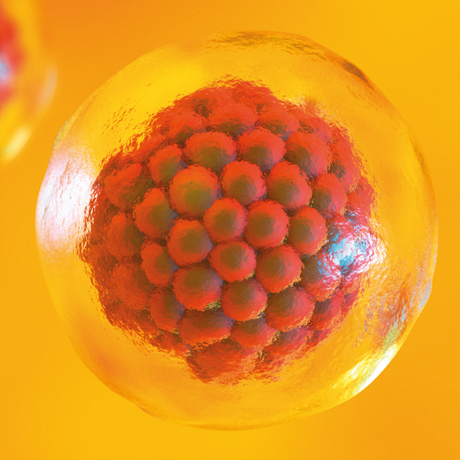 <span>Science Brand Identity</span><i>→</i>